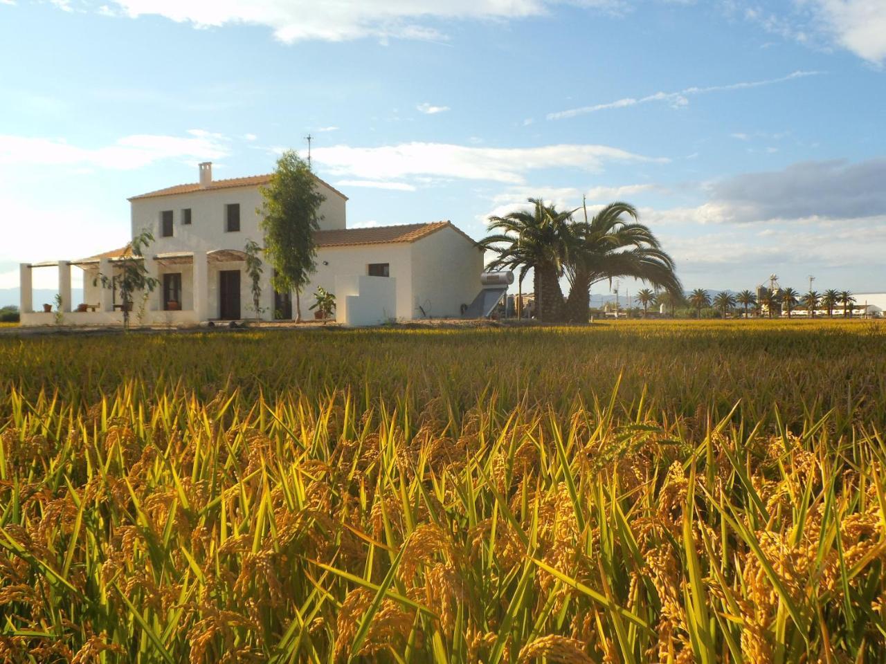 Penzion Mas Dels Bonos Deltebre Exteriér fotografie